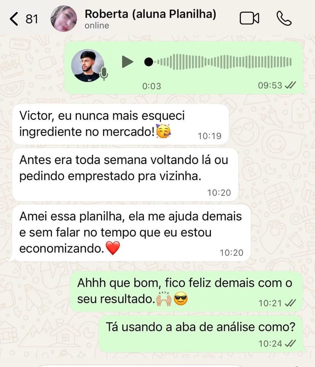 Depoimento da Roberta sobre a planilha do Victor